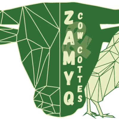ZAMYQ & cow 🐂