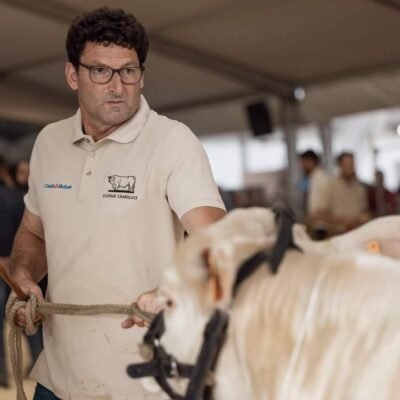 EARL CHAROLAIS MAUDET