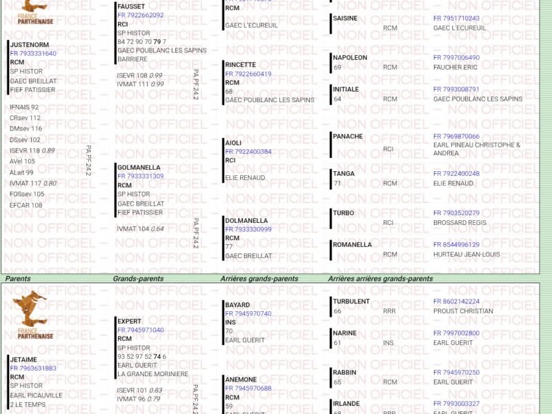 Taureau parthenais 6ans